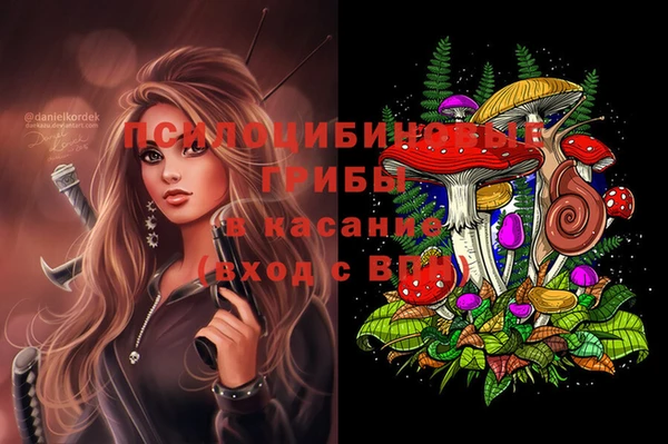 амф Магас
