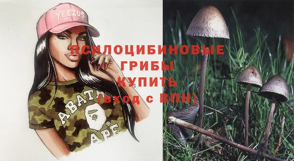 гашик Медногорск