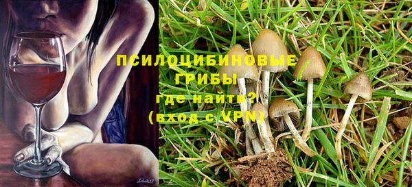 гашик Медногорск