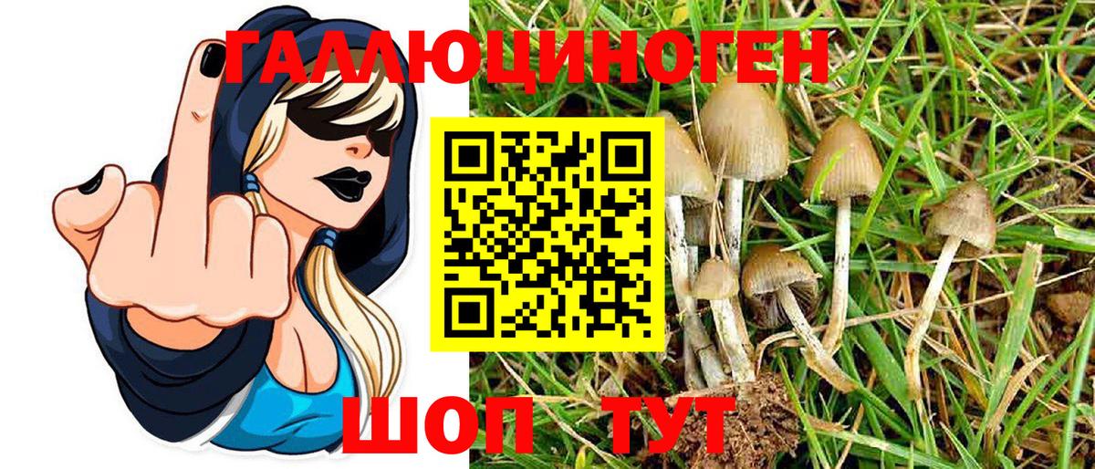 Галлюциногенные грибы Psilocybe  Псилоцибиновые грибы MAGIC MUSHROOMS  Вход с VPN  Шебекино 
