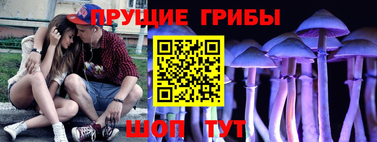 Псилоцибиновые грибы Psilocybe Шебекино